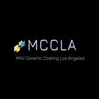 Mnvcardetailing